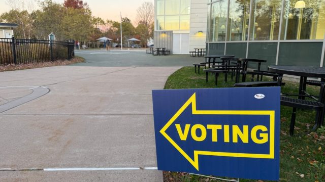 18 Primary Elections Set for August: What Voters Need to Know