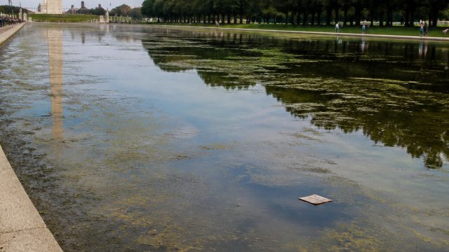 The Reflecting Pool Controversy: A Symbol of Environmental Oversight