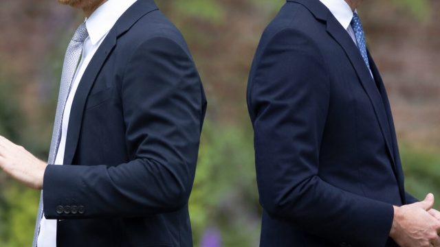 Insights on the Ongoing Rift Between Princes Harry and William