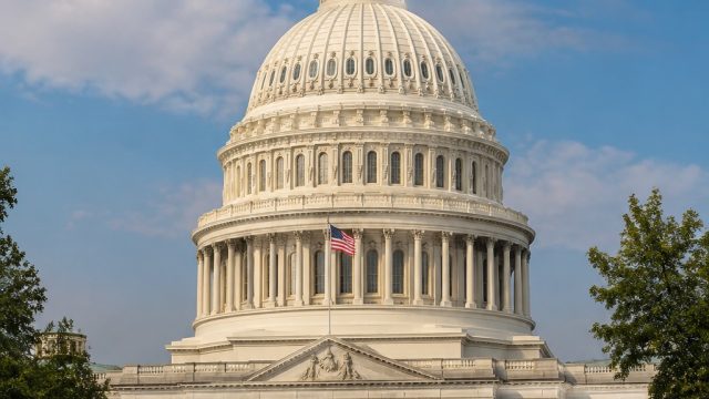 New York's Primary Elections: A Shift in Congressional Power Dynamics